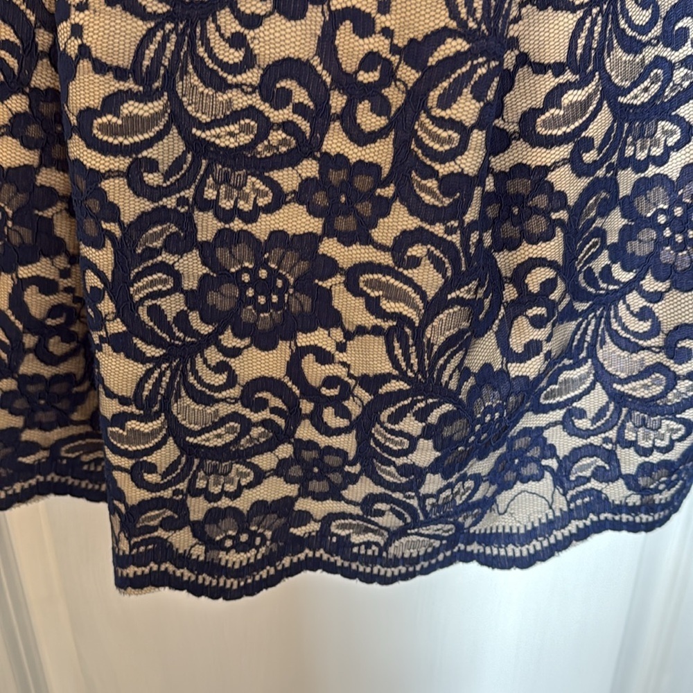 Navy Lace Overlay Dress - Picture 5 of 7